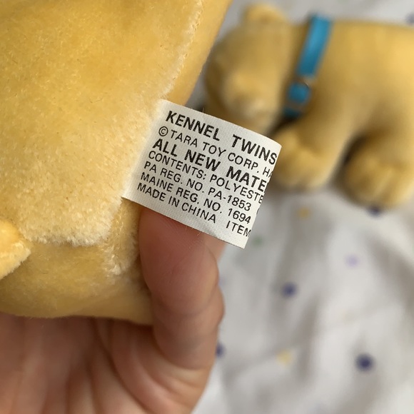 ❤️‍🔥 Two wrinkly faced puppies - Picture 6 of 8